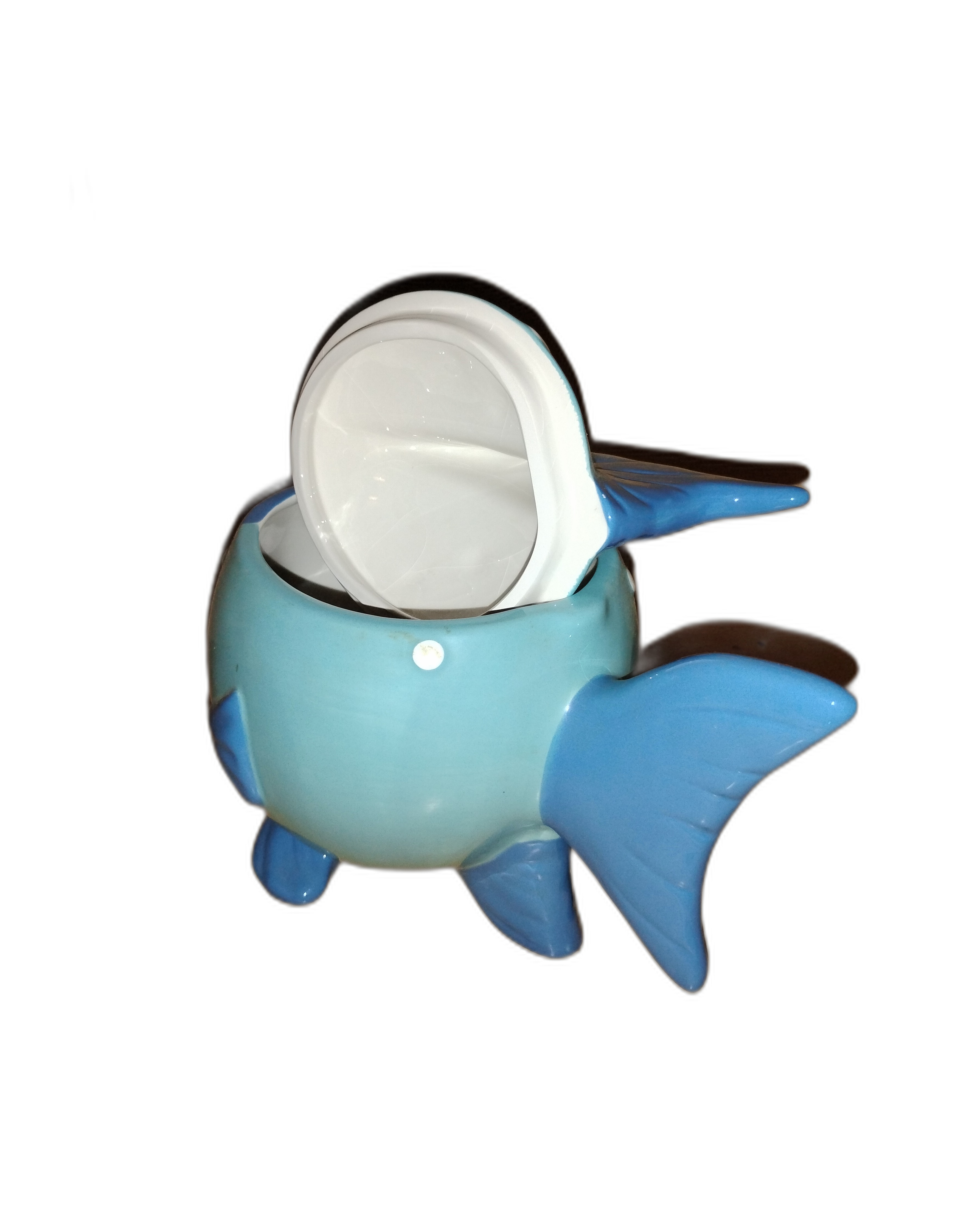 Blue and White Fish Cookie Jar